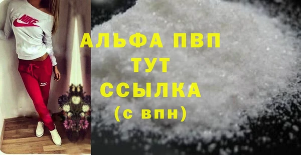 индика Алексин