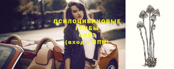 бутират Алзамай