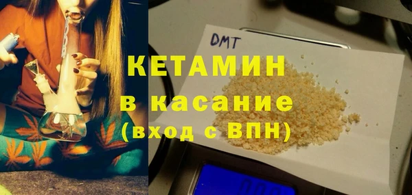 индика Алексин