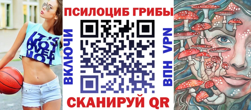 Псилоцибиновые грибы Psilocybine cubensis  закладки  Оса 
